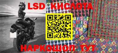 крисы Коммунар