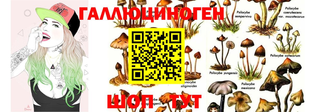 Псилоцибиновые грибы Magic Shrooms Кемерово